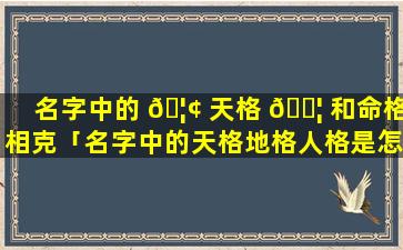 名字中的 🦢 天格 🐦 和命格相克「名字中的天格地格人格是怎么回事」